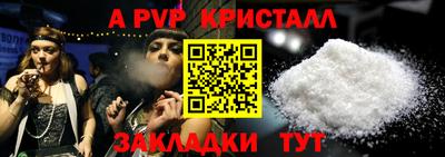 a pvp Камышлов