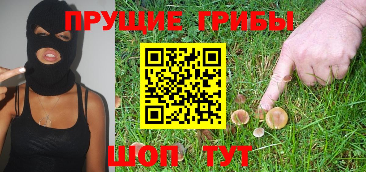 Лесозаводск  Галлюциногенные грибы GOLDEN TEACHER  Вход с VPN 